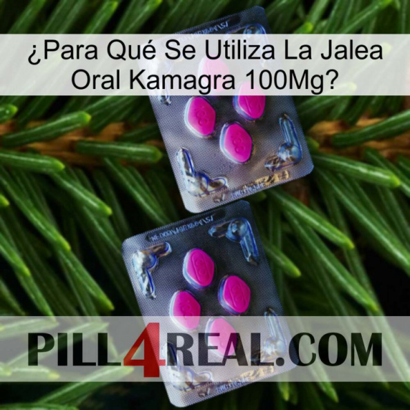 ¿Para Qué Se Utiliza La Jalea Oral Kamagra 100Mg 01.jpg